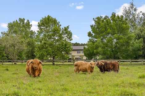 Photo of property in 5 Dysart Lane, Kumeu, 0891