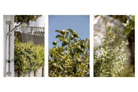 Photo of property in 18 Claydon Place, Ohope, 3121