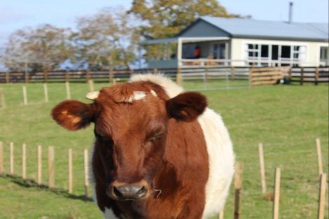 Photo of property in 314 Umutaoroa Road, Dannevirke, 4978