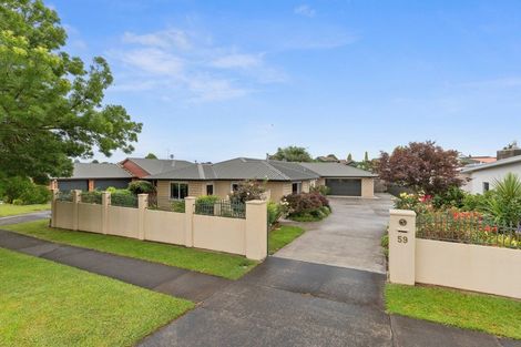 Photo of property in 59 Seales Road, Morrinsville, 3300