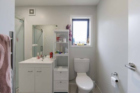 Photo of property in 3/1 Williams Place, Fairfield, Hamilton, 3214