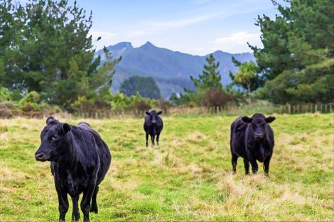 Photo of property in 185 Taringamotu Road, Taringamotu, Taumarunui, 3994