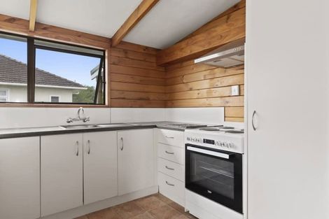 Photo of property in 97 Malfroy Road, Victoria, Rotorua, 3010