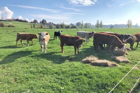 Photo of property in 30 Howden Road, Whatawhata, Hamilton, 3289