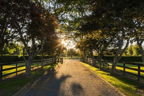 Photo of property in 48 Peake Road, Cambridge, Hamilton, 3283