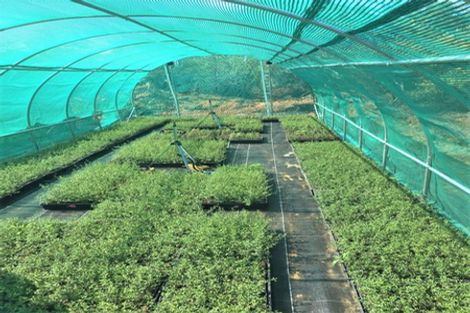 Photo of property in 1246 Babylon Coast Road, Omamari, Dargaville, 0373