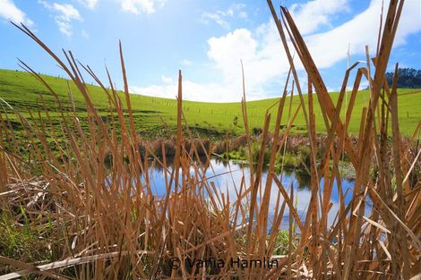 Photo of property in 533 Pataua South Road, Pataua South, Onerahi, 0192