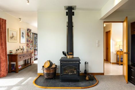 Photo of property in 15 Brook Street, Renwick, 7204