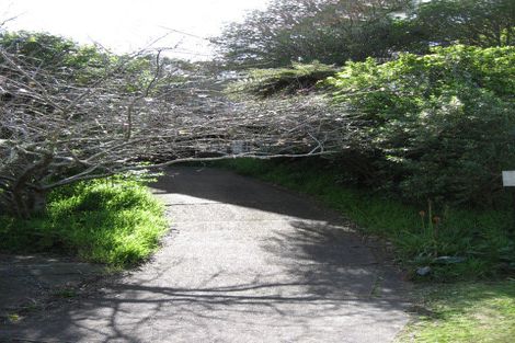 Photo of property in 24 Ocean View Road, Huia, Auckland, 0604