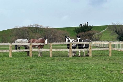 Photo of property in 19 Black Road, Ashley Clinton, Takapau, 4286