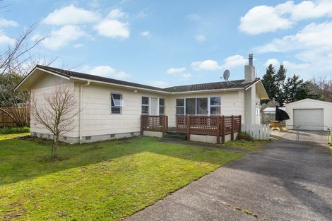 Photo of property in 26 Waterhouse Street, Masterton, 5810