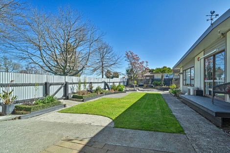 Photo of property in 505 Poplar Place, Akina, Hastings, 4122