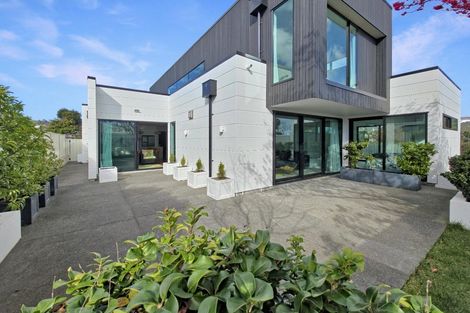 Photo of property in 4b Chambers Street, Havelock North, 4130