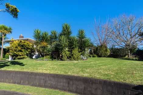 Photo of property in 8 Cardiff Street, Pukekohe, 2120
