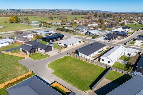 Photo of property in 16 Market Street, Lansdowne, Masterton, 5810
