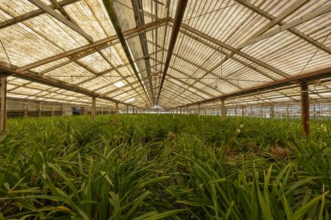 Photo of property in 123 Jesmond Road, Karaka, Drury, 2578