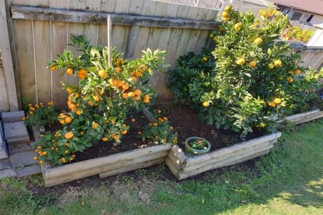 Photo of property in 13 Pedlar Street, Mangakakahi, Rotorua, 3015