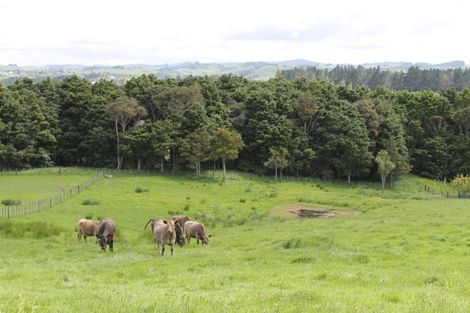 Photo of property in 105 Jumna Road, Maungaturoto, 0587