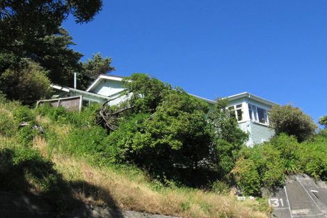 Photo of property in 131 Volga Street, Island Bay, Wellington, 6023