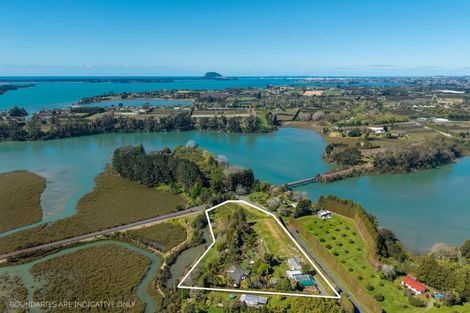 Photo of property in 105 Jess Road, Whakamarama, Tauranga, 3172