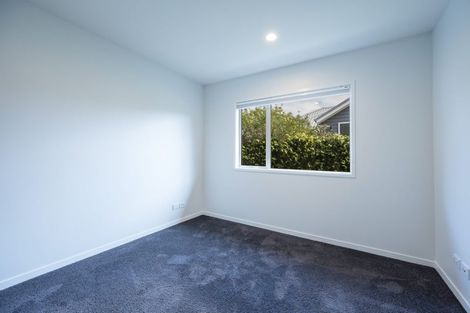 Photo of property in 16 Concordia Drive, Richmond, 7020