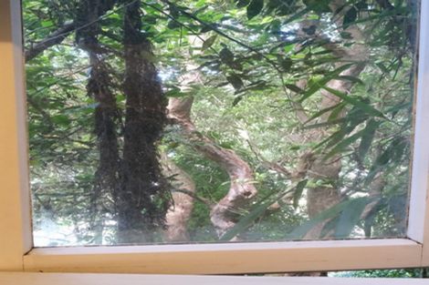 Photo of property in 64 Norway Street, Aro Valley, Wellington, 6012