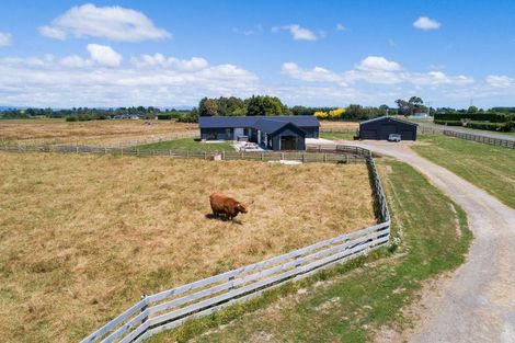 Photo of property in 158 Pharazyn Road, Feilding, 4777