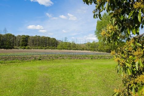 Photo of property in 1468 Matawai Road, Ormond, Gisborne, 4071