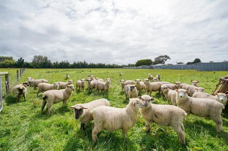 Photo of property in 33 Pomona Road West, Makarewa, Invercargill, 9876