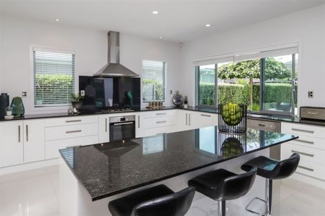 Photo of property in 19 Bree Place, Flagstaff, Hamilton, 3210