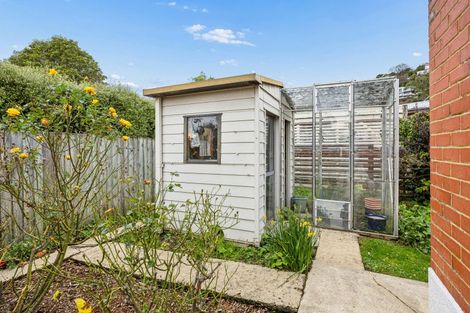 Photo of property in 11 Hobson Street, Saint Clair, Dunedin, 9012