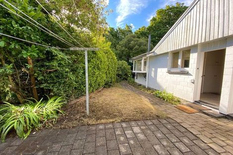 Photo of property in 147 Straven Road, Fendalton, Christchurch, 8014
