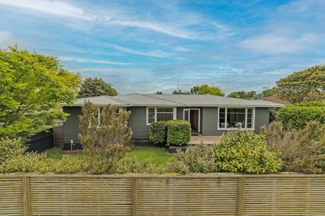 Photo of property in 86 Guy Avenue, Takaro, Palmerston North, 4410