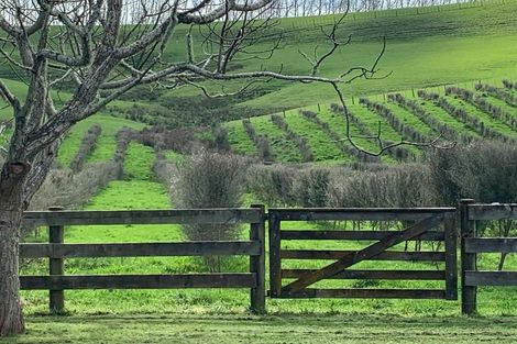 Photo of property in 178 Cowan Road, Hunua, Papakura, 2583