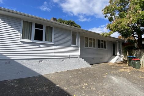 Photo of property in 1/20 Woodford Road, Mount Eden, Auckland, 1024