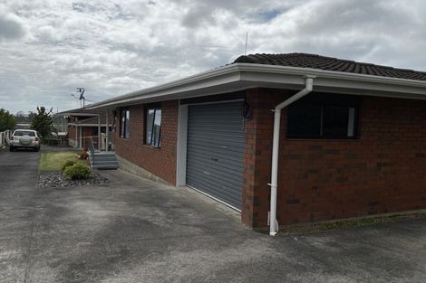 Photo of property in 233 Hepburn Road, Glendene, Auckland, 0602