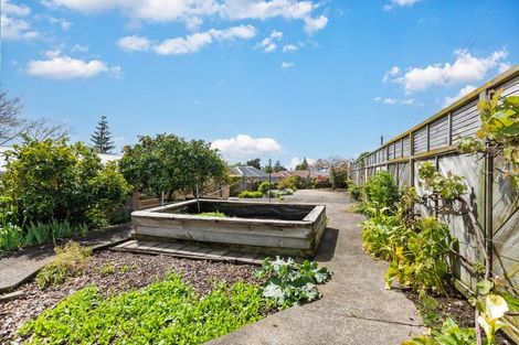 Photo of property in 388 Thames Street, Morrinsville, 3300