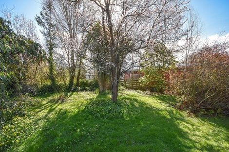 Photo of property in 7 Castle Street, Waihola, Milton, 9073