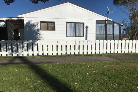 Photo of property in 26 Princes Street, Levin, 5510