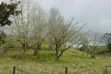 Photo of property in 521 Ahuroa Road, Puhoi, Warkworth, 0994