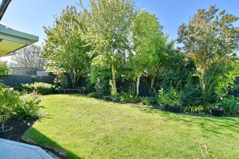 Photo of property in 172 White Street, Rangiora, 7400
