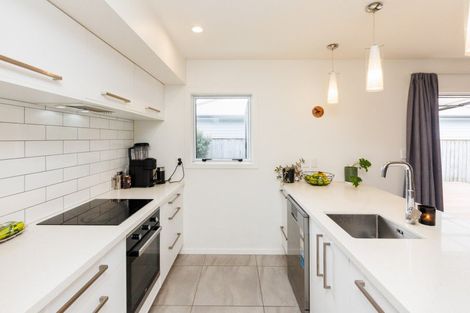 Photo of property in 44a Pharazyn Street, Feilding, 4702