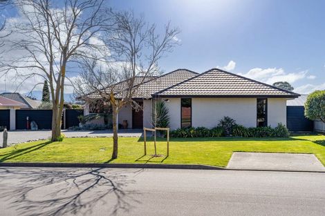 Photo of property in 35 Hope Drive, Witherlea, Blenheim, 7201