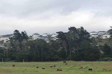 Photo of property in 81 Totara Views Drive, Silverdale, 0932