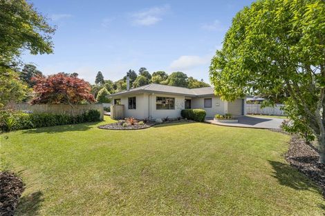 Photo of property in 43 Roto Street, Hurdon, New Plymouth, 4310