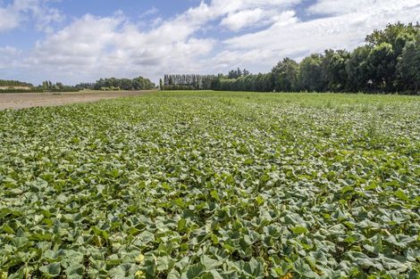 Photo of property in 37 Mcsaveneys Road, Marshland, Christchurch, 8051