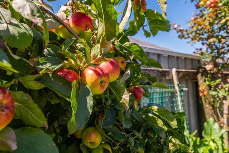 Photo of property in 27 Read Street, Levin, 5510