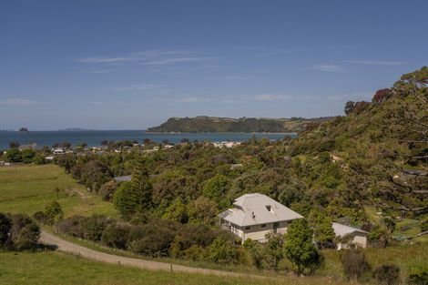 Photo of property in 40 Ara Mata, Cooks Beach, Whitianga, 3591