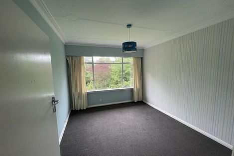 Photo of property in 16 Warden Street, Opoho, Dunedin, 9010