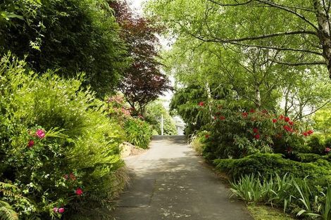 Photo of property in 34 Lundie Street, Kaikorai, Dunedin, 9010